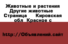 Животные и растения Другие животные - Страница 2 . Кировская обл.,Красное с.